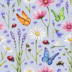 Fototapety  Dzikie kwiaty i owady ilustracja. Akwarela letni wzór