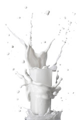 milk splash in glass isolated on white background