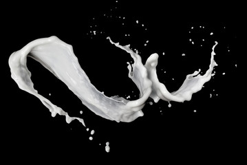 milk splash isolated on black