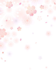 桜　和柄 春 (縦長）