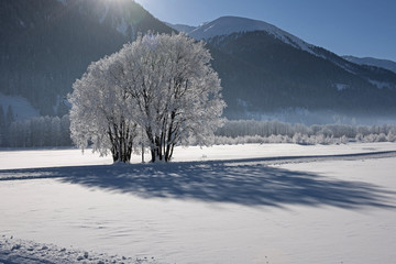 Winterlandschaft im Obergoms, Wallis, Schweiz