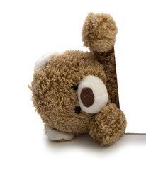 ours en peluche © auryndrikson