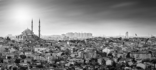 Istanbul Mosque with residential area in black and white