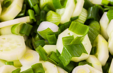 Fresh healthy salad with onion and cucumber