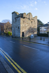 Medieval Castle in Ireland