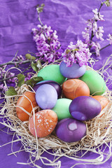 Colored easter eggs in nest