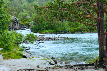 Summer mountain river (Norge)