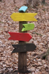 Flèches multicolores