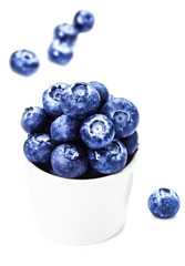 Fresh bilberries in a bowl  isolated on white background close u