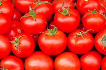 Tomato background