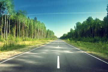 road in summer forest