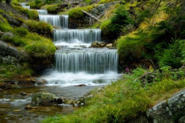 Cascades