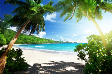 beach, Mahe island, Seychelles