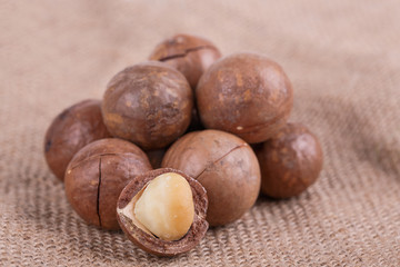 macadamia nuts