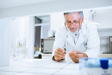 Senior male researcher carrying out scientific research in a lab