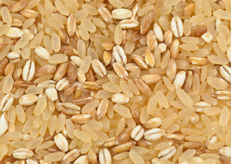 texture of three cereals