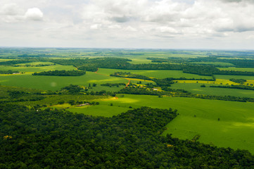 Fototapeta na wymiar Landscape with forest fields with farms