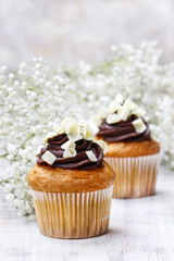 Chocolate cupcakes for wedding party. Baby's breath flower