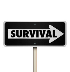 Survival Word One Way Road Sign Endurance Resilience