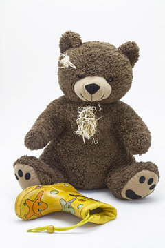 Teddyb&auml;r