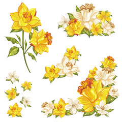 Gentle floral set of flower elements isolated © Yuzach