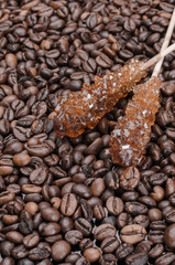 Lillipop and coffee beans