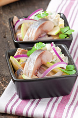 Herring salad with onion and green apple