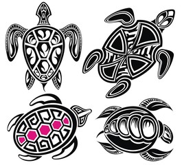 Vector illustration of turtles