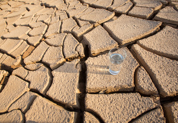 A Glass Of Water On Parched Soil