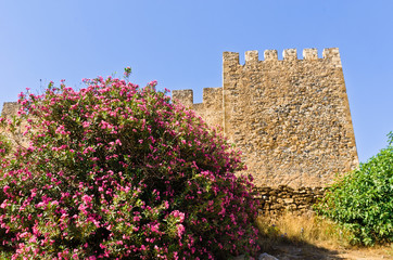 Fototapeta premium Walls of castle and fortress of Frangokastello, island of Crete