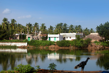 Small Indian village by Buckingham canal in India