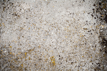 cement wall textured background 