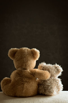 Two Teddy Bears