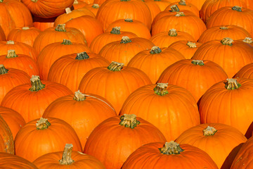 Colorful pumpkins