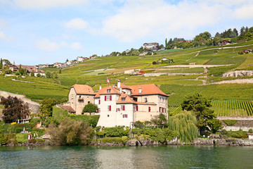 Obraz premium Lavaux region