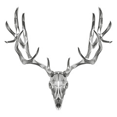 abstract animal background line art