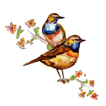 Cute birds for your design. watercolor
