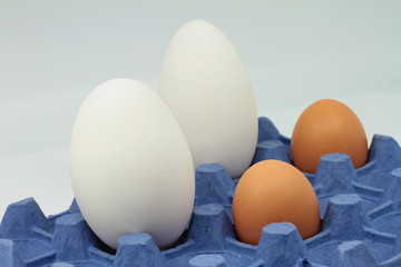 œuf d'oie 