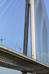 Suspension Bridge Over Ada Pylon - Detail - Belgrade - Republic