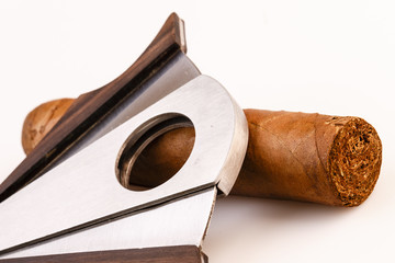 Cigar and cutter on a white background