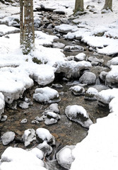 Winter nature at Low Tatras, Slovakia