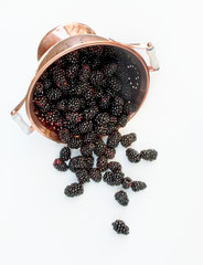 Copper Colander with Fresh Blackberries