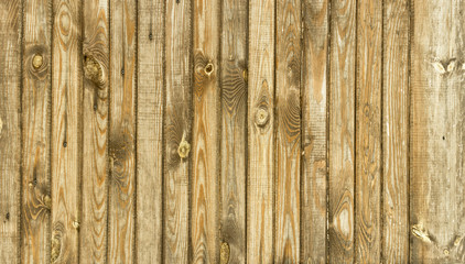 The wood texture with natural patterns