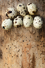 Obraz premium Quail eggs on wooden background