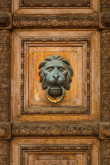 Old wooden door with lion handle