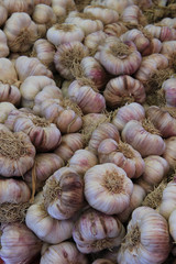 Fresh garlic at a market