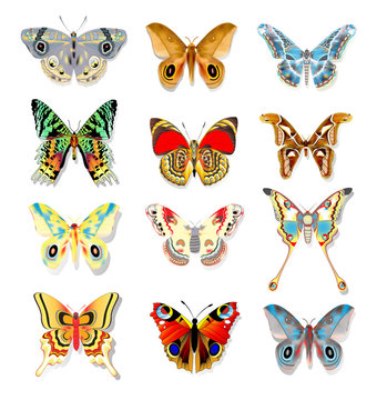 set of colorful butterflies on a white background
