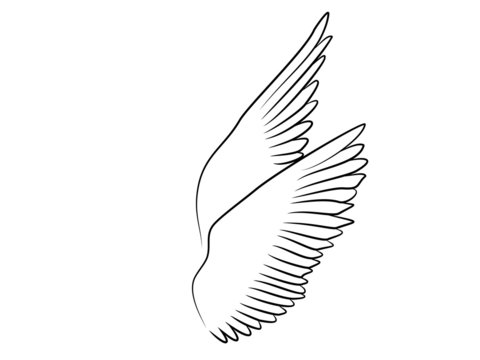 Love Wings Tribal Tattoo Fl&uuml;gel Fliegend