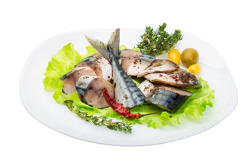 Mackerels