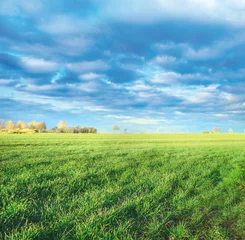 Fototapeten spring fields in countryside, first green shoots, landscape © VICUSCHKA